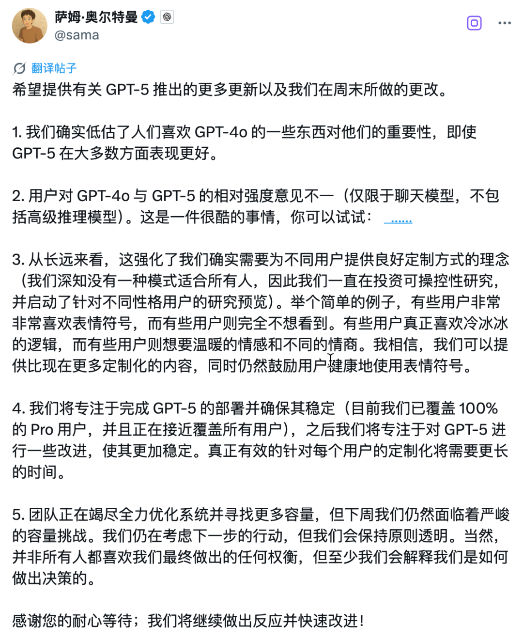 GPT-5定制化策略说明